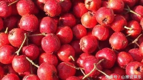 猕猴桃|怀孕的准妈妈，这几类水果最好别碰对胎儿发育和孕妇自身都不好