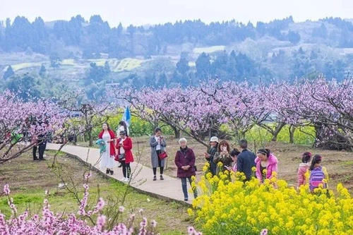 成都第2个龙泉桃花故里，1小时到达没有门票，人少景美的冷门地