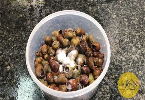 才发现，菜刀上圆孔有个厉害用法，现在知道还不晚，太多人收藏了