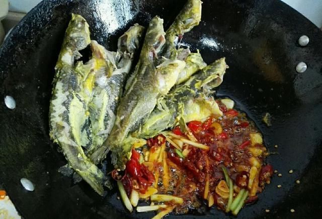 黄骨鱼|此鱼现在很“少见”,无鳞无刺肉质特别鲜嫩,遇到就多买