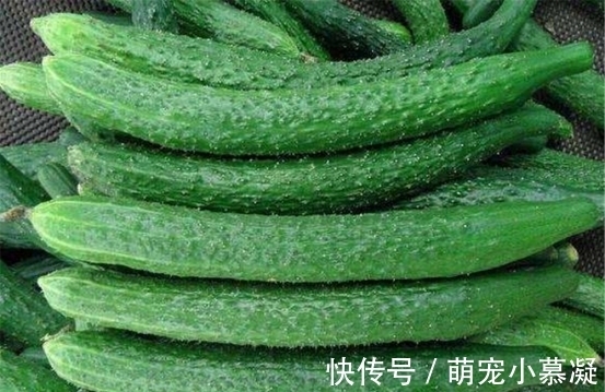 催熟|卖了20年菜的三婶透露:这4种常见的激素蔬菜要牢记,别买错了