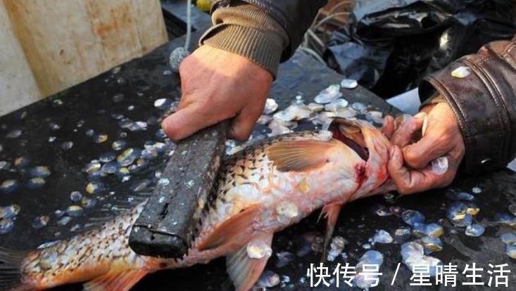 涂抹|给鱼去腥,不要用料酒,教您一个好方法,炖鱼无腥味,鲜香十足