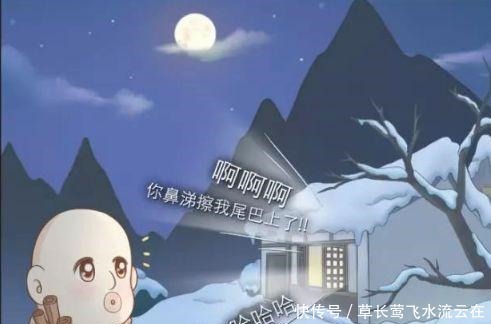 狐狸|搞笑漫画小和尚泪水决堤终究忍不住了，狐狸我来做你的头发！