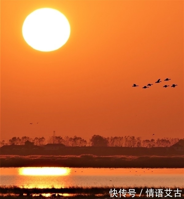 闻雷#温一盏茶读好诗,33首诗写在深秋,有真情有境界,细读不觉被感动