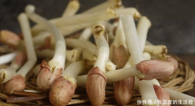 食物发芽|发芽的大蒜、土豆、生姜,是否能吃呢看完你就会懂得了