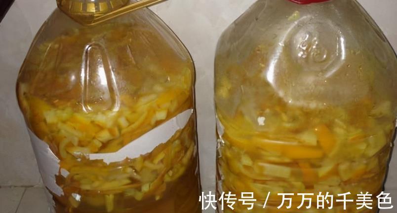 养殖|养蟹爪兰需要“酸水”，适当用这3样，不用愁植株到了花期不开