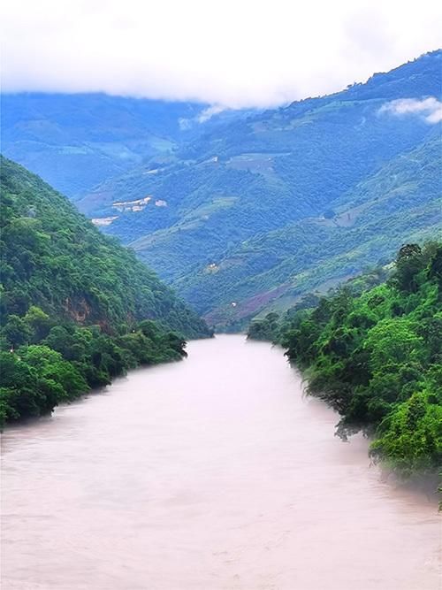 野生动物|世界近危物种高山兀鹫现身云南龙陵