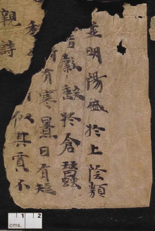 楼兰残纸|跨越千年的风霜