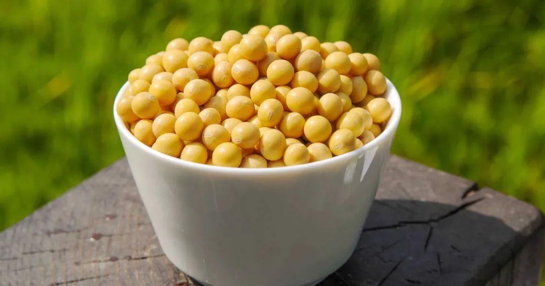 海鲜|“高嘌呤”食物清单已公布，猪肉排不上号，看完榜首，趁早管住嘴