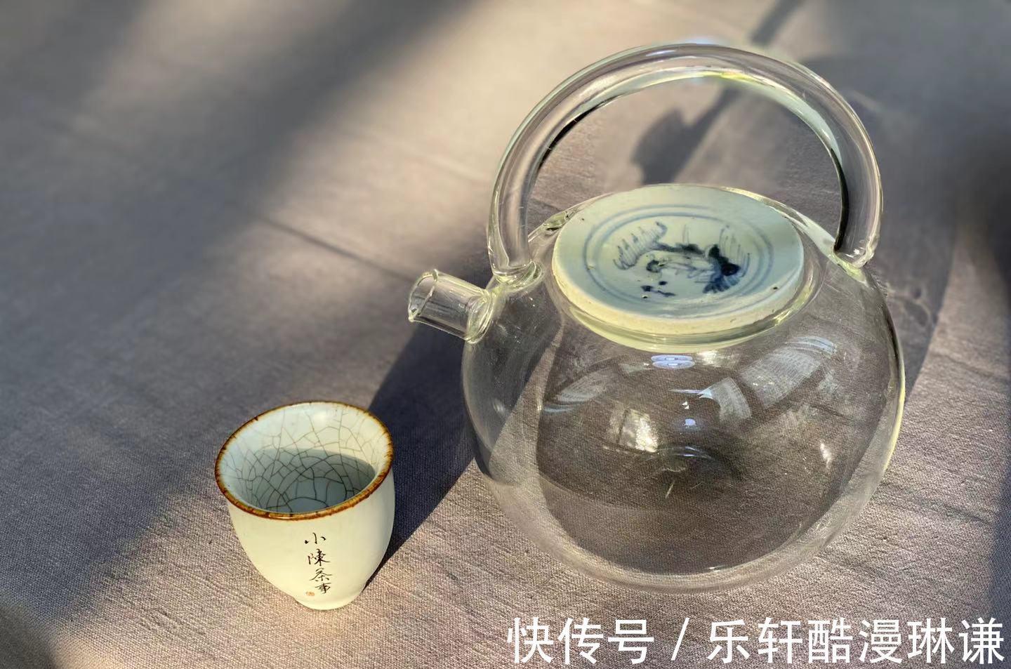 玻璃壶|养生壶、玻璃壶、铁壶、粗陶壶,谁才是秋季煮老白茶的选择