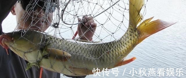 搭配|浅谈双钩的饵料搭配，科学搭配可提高钓鱼效率