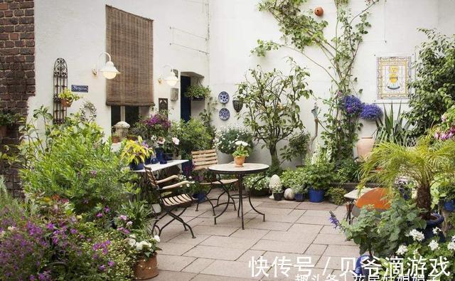 喜欢养花也不要忽视绿植的作用，室内选择这4种绿植养，美观大气