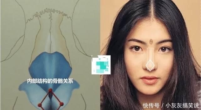 优越鼻型精细化到山根的宽窄?对颜值影响还真大