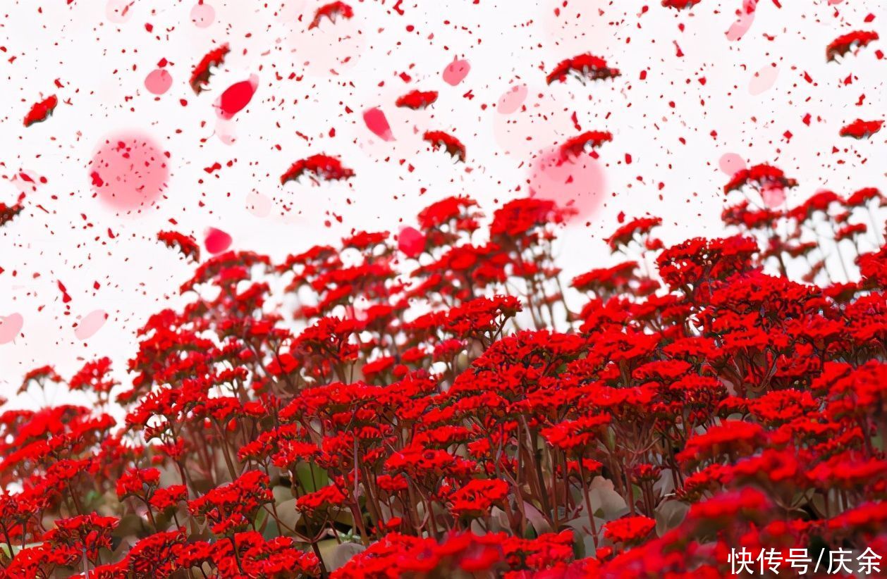 游遍|欧阳修的这首词，写透了人生的聚散无常，值得一读再读