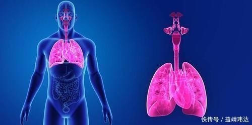 酸枣仁|睡眠是最好的补药!睡不着的人,6种食材泡水喝,失眠不再困扰你