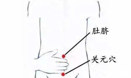 抗生素|助你提升阳气的小方法