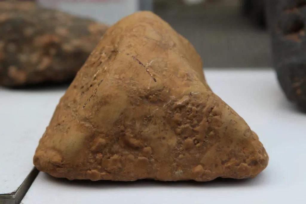  陨石|“群星”在故都闪耀——第四届临淄齐国商城陨石展