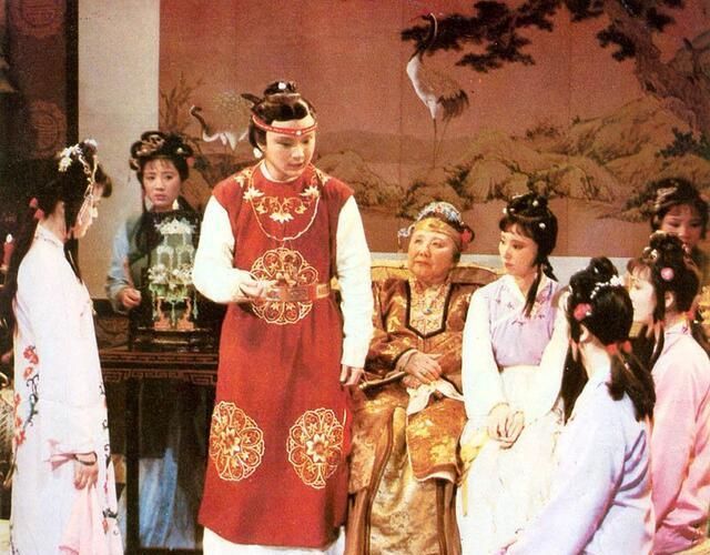 张道士$红楼梦:贾母将小孙子宝玉视为珍宝,为什么不怎么待见大孙子贾琏