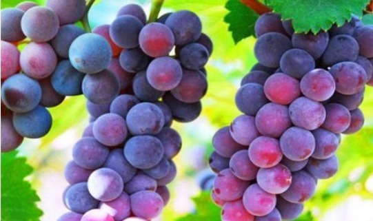 延缓衰老|女性养生，建议吃4种食物，排出毒素，美白护肤，安神助眠