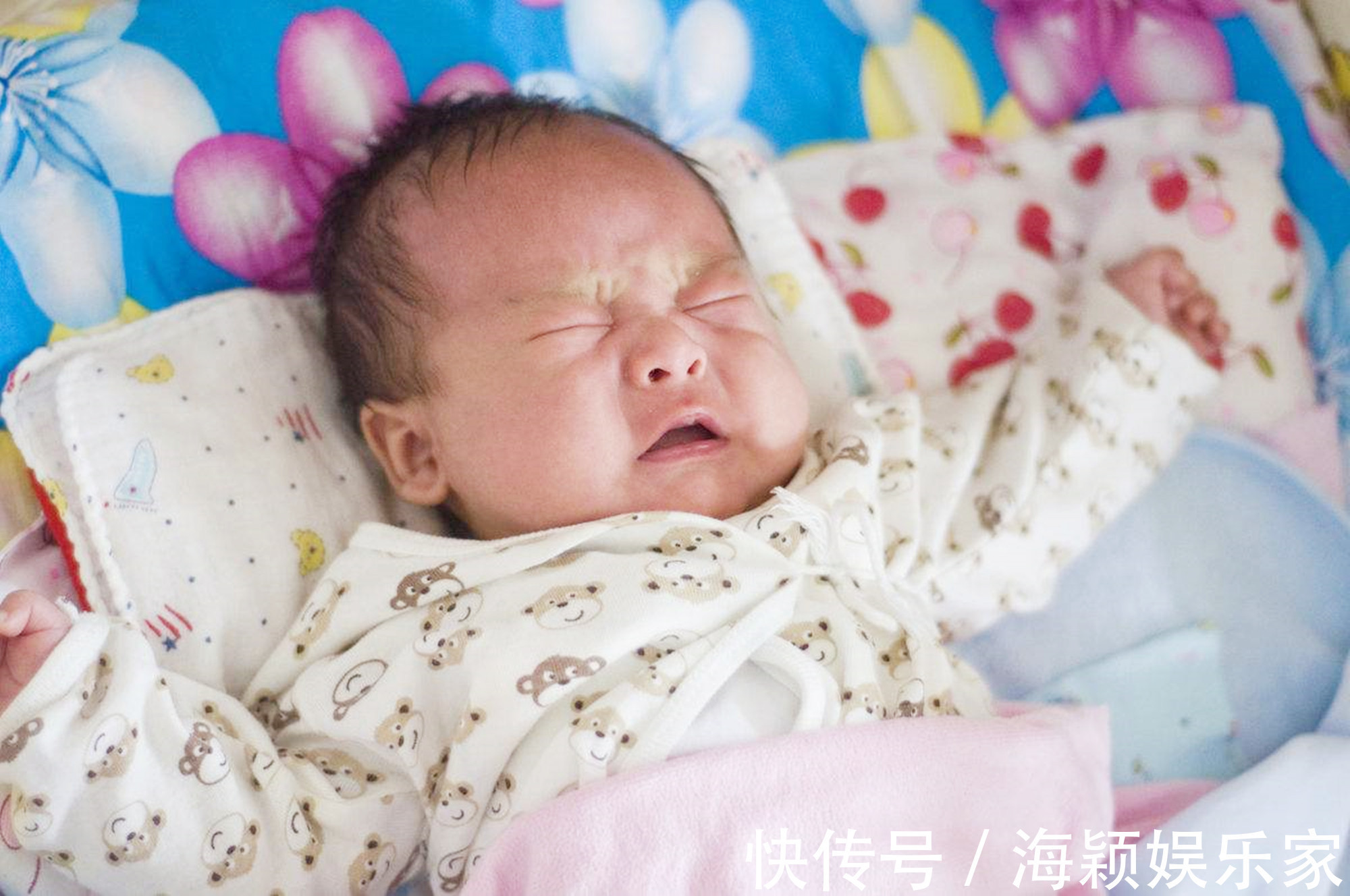 狸猫换太子|宝宝出生后用实力“复仇”,网友笑评弄疼我了还想走没门