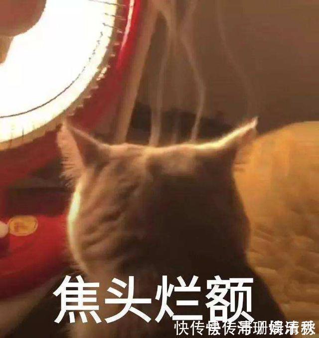 家长|宝宝很聪明,就是说话晚、说不清?讲真,“元凶”可能是家长