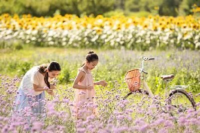 一本好书$南宋这首诗曾入选民国语文教材,开篇美不胜收,颔联寓意深远