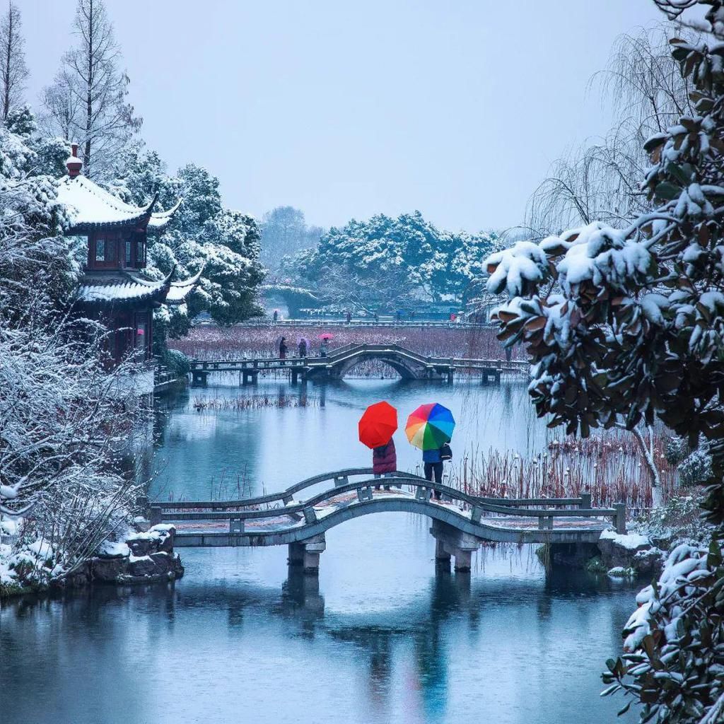  冬至|冬至数九日，岁月至醇时