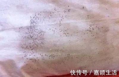 消毒|好可怕!宝宝天天吃的牙胶和奶嘴,竟然比抹布还脏!