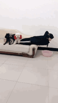 |幽默笑话:有一次上课,大家都在专心听讲,小王却很大声说话……