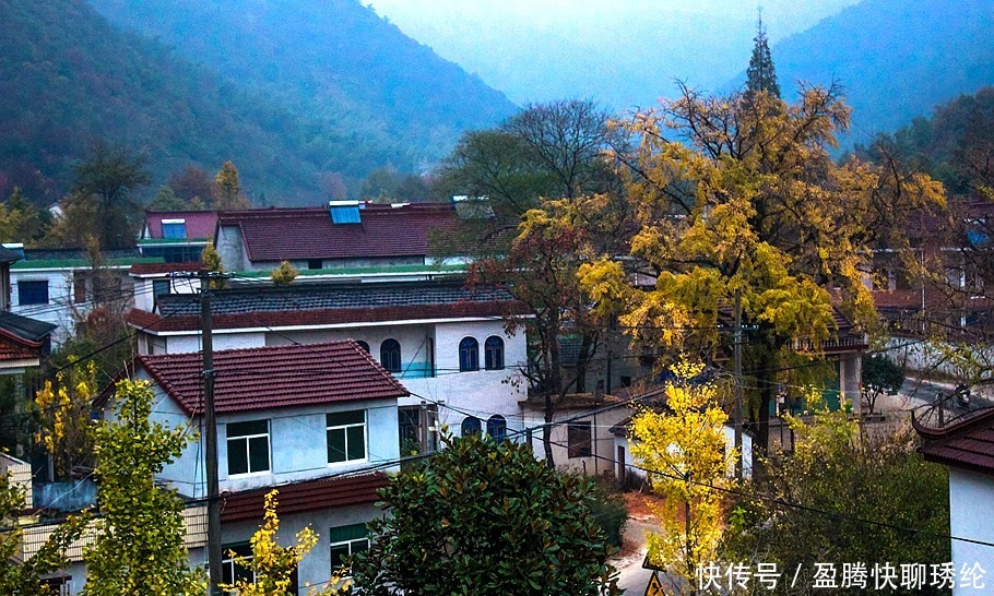 柿子|长兴有一个美丽的小山村，它的名字叫石岕口，仿佛静谧的山水画般