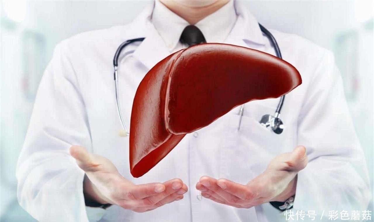 养肝|患有肝病不用怕,常吃这几样食物,排毒养肝,肝慢慢变好!