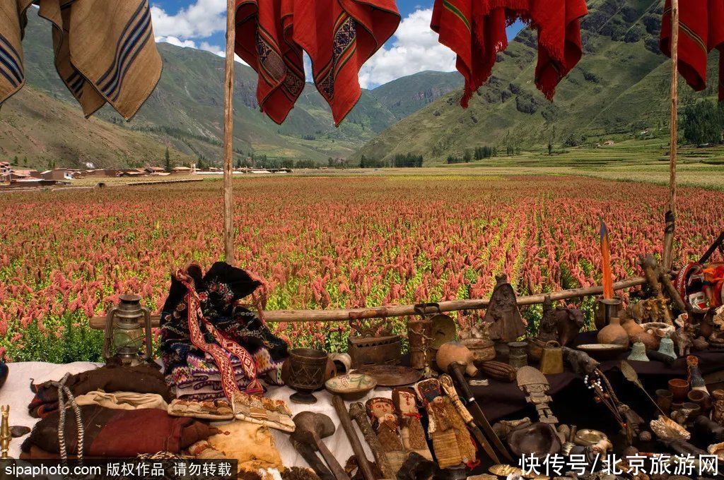 圣烛节|无需签证！盛夏不出京假装在秘鲁，沙漠中绽放的花蕾，探寻黄金国之谜