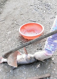 |搞笑GIF:这个伪装的太差了,我一看就知道是假的