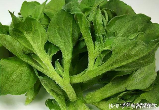 俗称冰菜,叶子自带咸味,国外当肥皂用,我国成贵族菜10元1斤