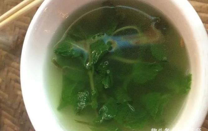 阴虚血燥|一把薄荷,巧治大病!民间11个入药良方,11种病症皆可治!