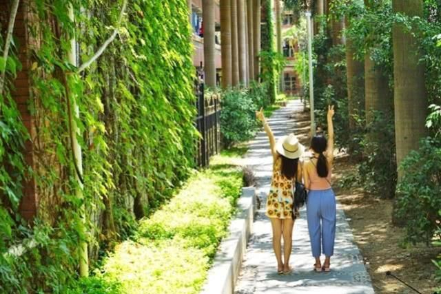 中年|中国最美的大学胜似公园，游客比学生还多，无奈成为旅游景点