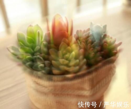 恢复|孩子近视怎么办土方法效果甚微,三个妙招帮你恢复眼睛视力