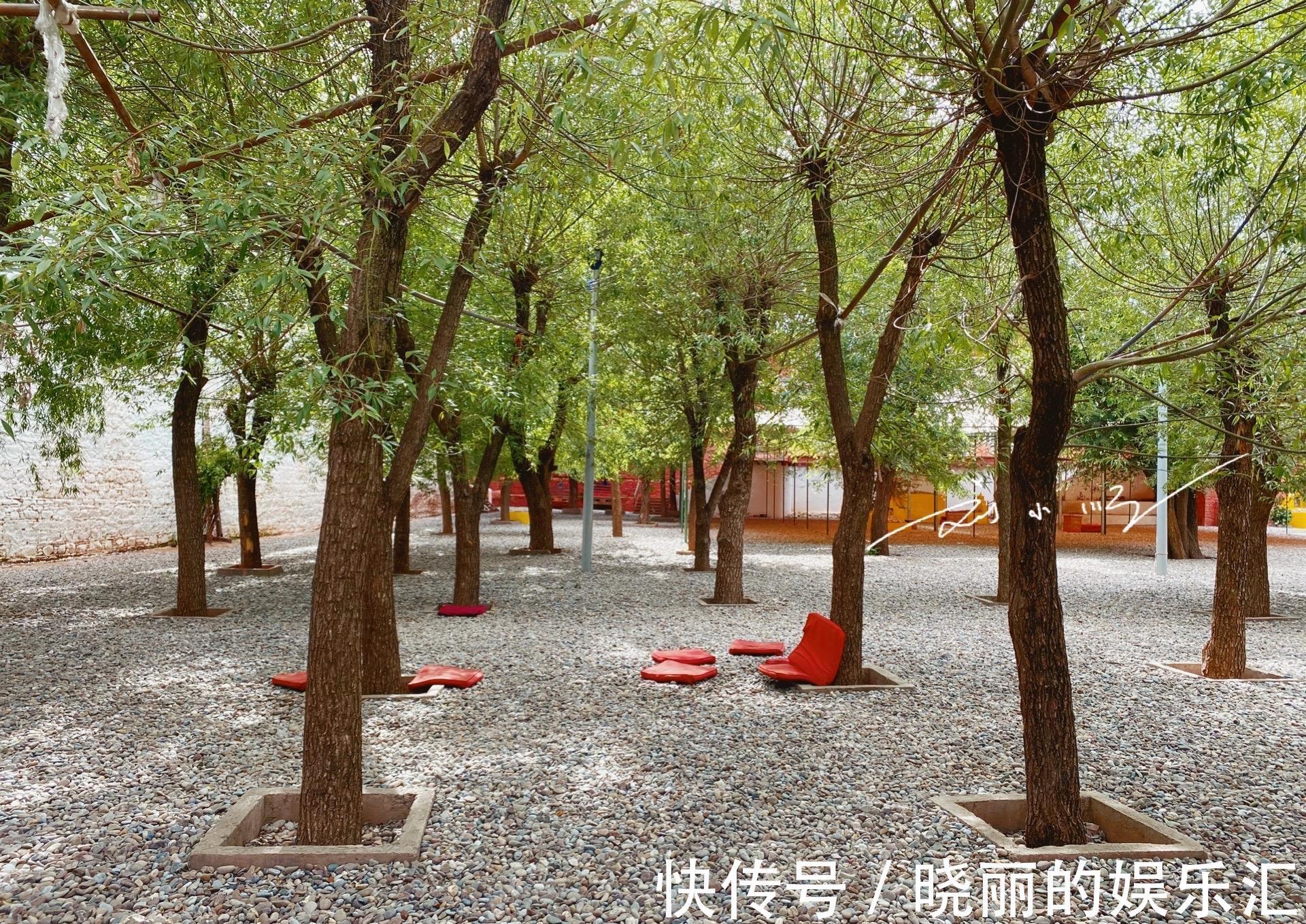 登录查看大图