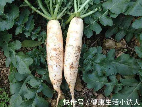 心脑血管|明日立冬，三种菜要端上桌，做到“三要四不要”，安康过冬