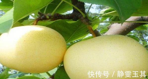 莼菜|人至中年,常吃以下食物,不仅补充营养,皱纹淡了,还皮肤细腻