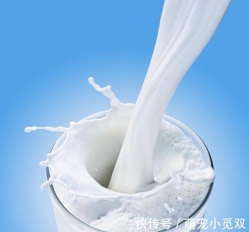 蘑菇|张文宏再次强调:4种食物,能够增强免疫力