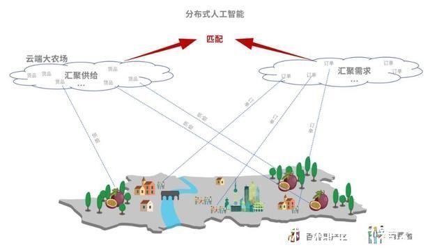 联合国|联合国粮农组织发布首份数字农业报告，分享中国新电商助农经验