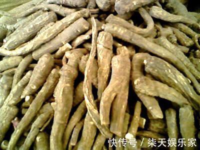 药液|钓鱼可以用哪些中药泡酒正确选用方能钓获大鱼!