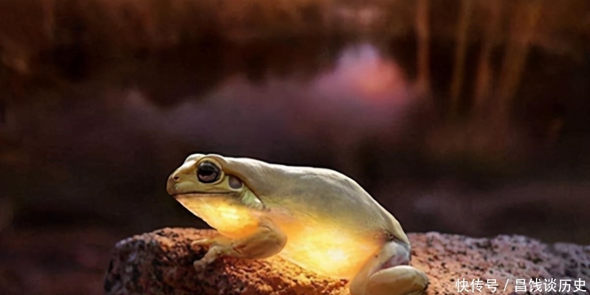 鸣蝉|辛弃疾一首《西江月》,写出了乡村夏日夜晚景象,农村孩子都见过