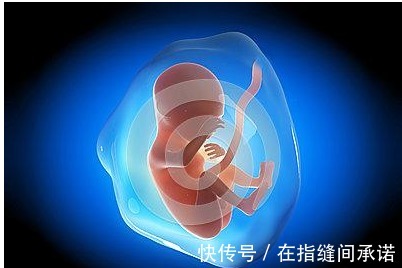 小家伙|孕期孕妈如果有这三种表现,恭喜你胎儿智力发育很好