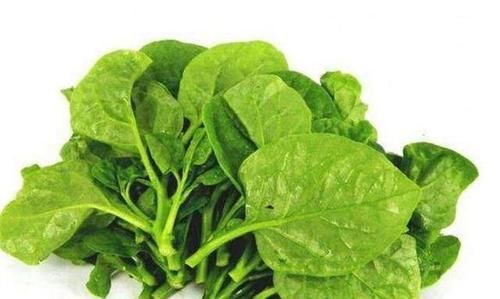 女人想要皮肤好，不妨常吃以下食物，淡斑去皱，肌肤细腻光滑