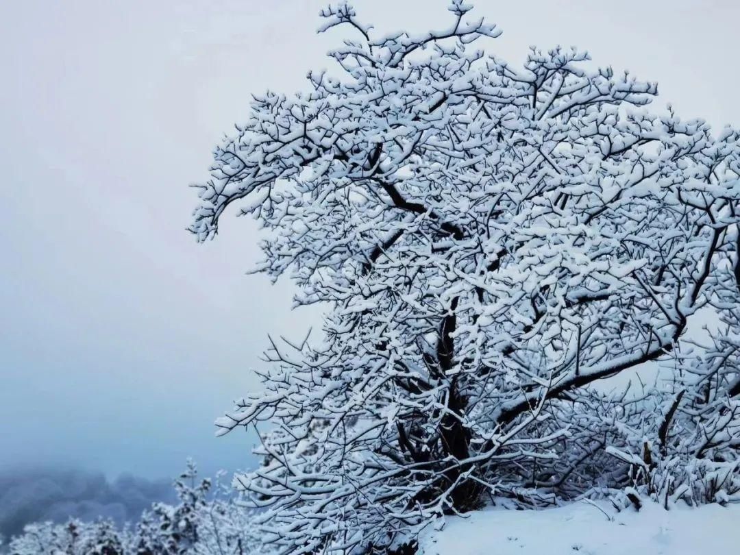 【大美房山】赏！大安山春雪水墨画