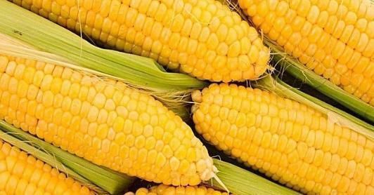 维生素A|爱吃玉米的人此物不可以和玉米一起吃,很多人不知