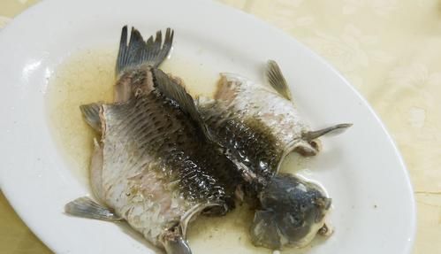 给月季吃条鱼，来年花开满盆，花期长达200天，你也试试！