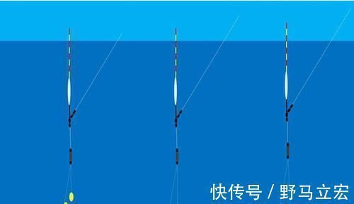 野钓调漂实用套路：双调目，钓区间，野钓调漂就用这招！